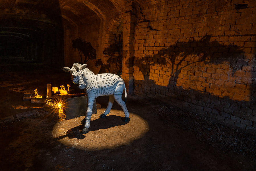Little Big Zebra, Exposition de sculptures animalières d'Anne Moreau-Vagnon, au Musée de la Briqueterie à Saint-Brieuc.