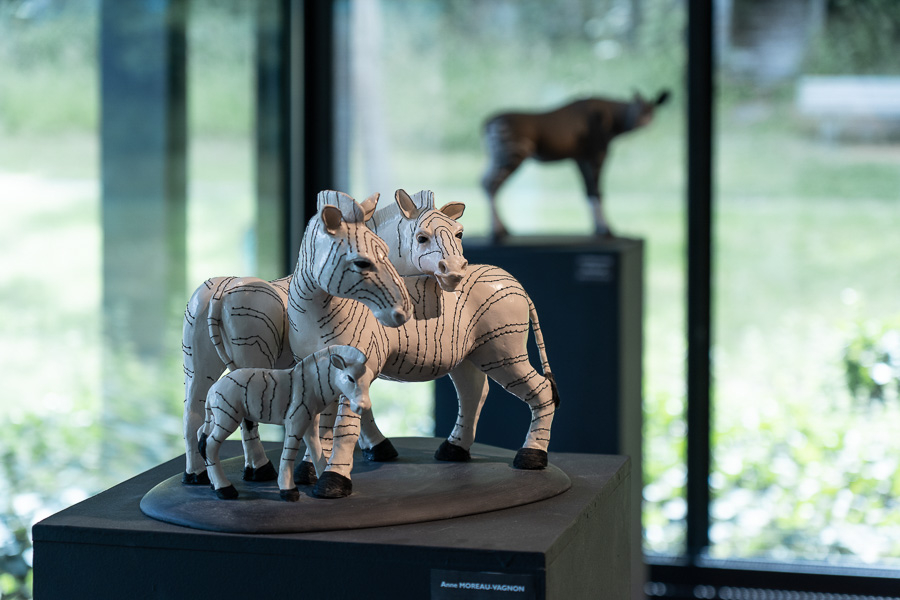 Zebra Crossing, Exposition de sculptures animalières d'Anne Moreau-Vagnon, au Musée de la Briqueterie à Saint-Brieuc.