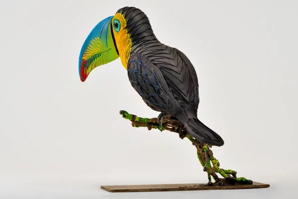 Toucan Arc en Ciel