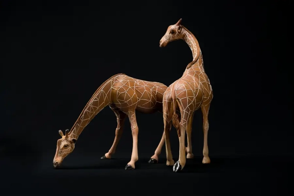 Girafes au point d'eau