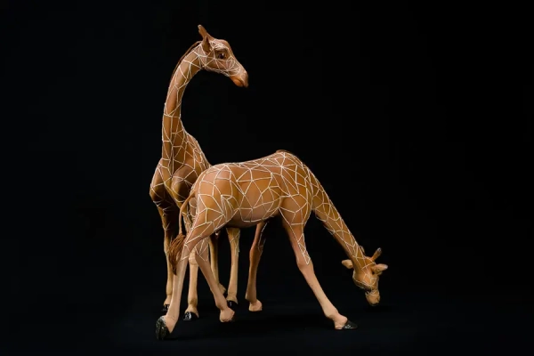 Girafes au point d'eau