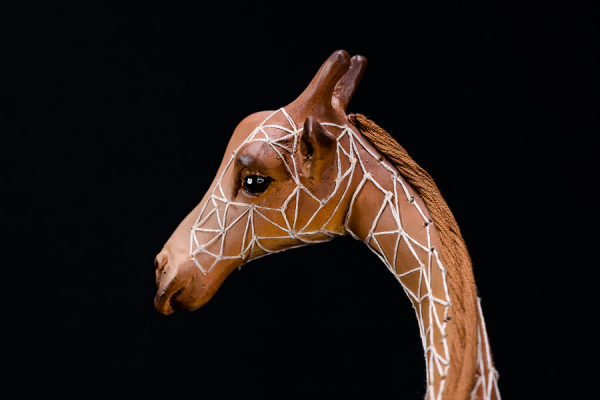 Girafes au point d'eau