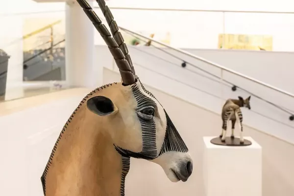 Exposition Animal Galerie L'écu de France, Viroflay