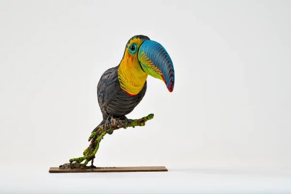 Toucan arc en ciel