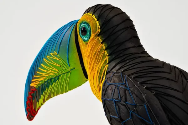 Toucan arc en ciel