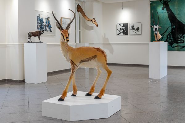 Springbok, Okapi et Oryx