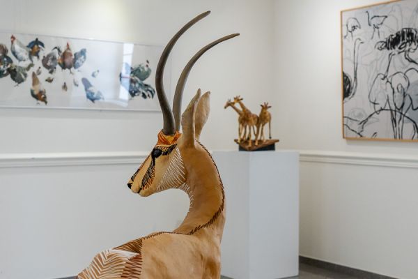 Springbok et Cavalcade