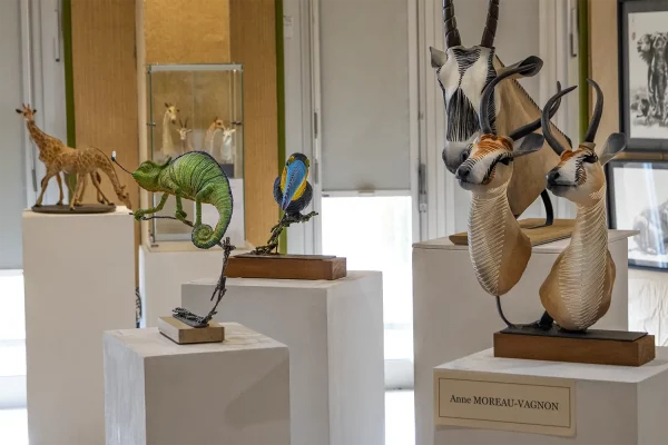 16ème biennale 2026 - St pierre les Nemours